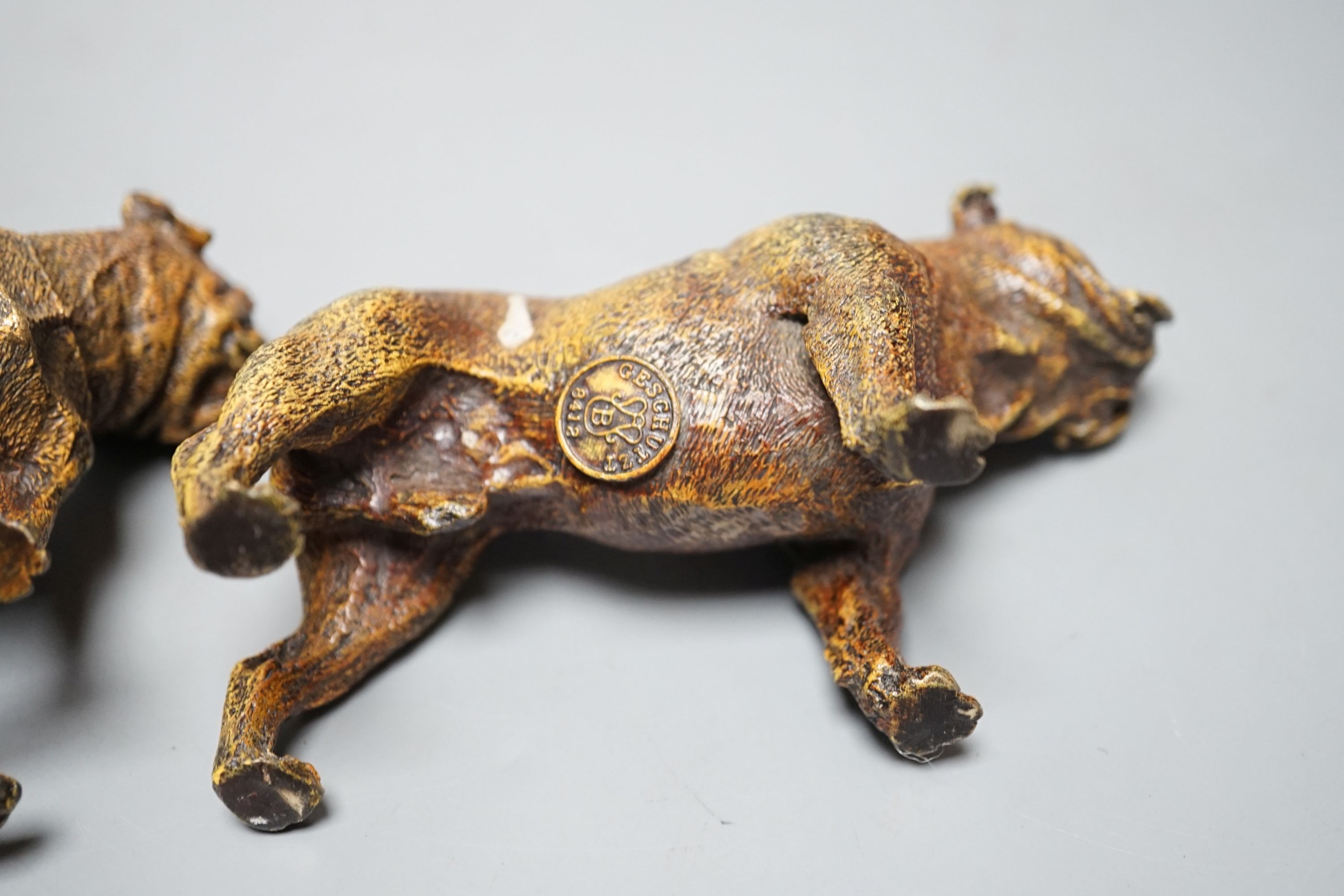 Two cold painted bronzes, a pug and a bulldog, with applied discs reading ‘GESCHUTZT’. 14cm